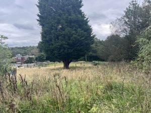 Photo 10- click for photo gallery